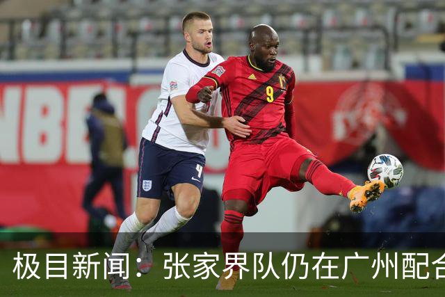 极目新闻：张家界队仍在广州配合调查，警方和多个主管部门已介入