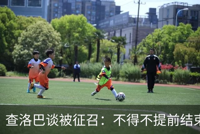 查洛巴谈被征召：不得不提前结束度假，现在还在想办法把钱要回来